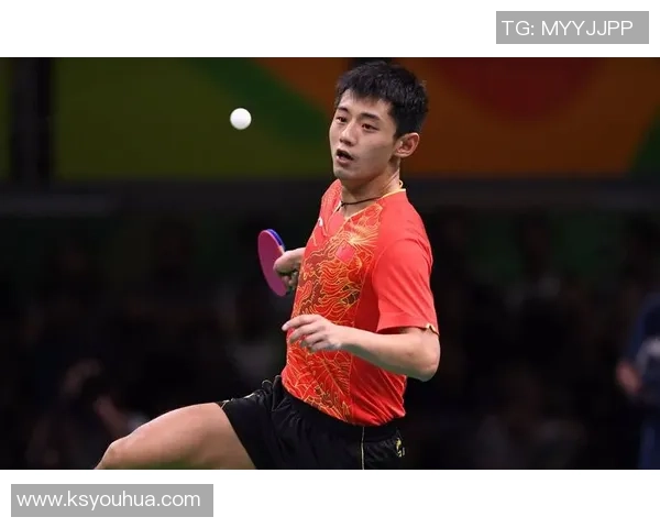 乒乓球传奇：深入探索杭州乒乓球队的训练与荣耀之路