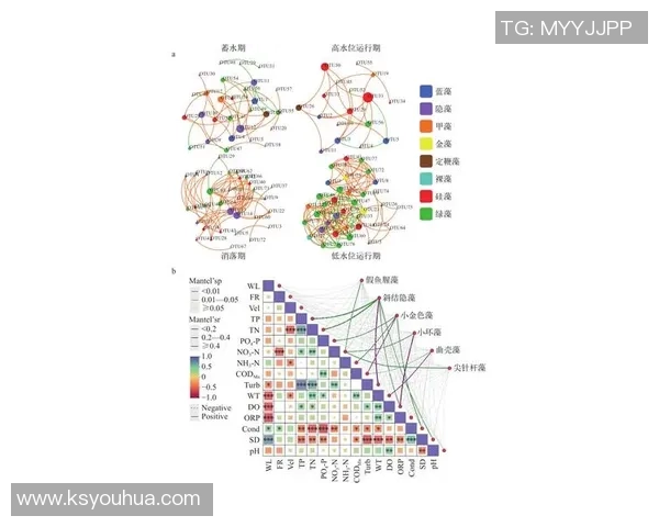 成都足球队在大师赛中的速度优势分析与表现点评 成都足球队在大师赛中的速度优势分析与表现点评