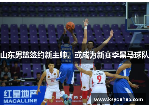 山东男篮签约新主帅，或成为新赛季黑马球队