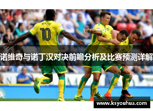 诺维奇与诺丁汉对决前瞻分析及比赛预测详解